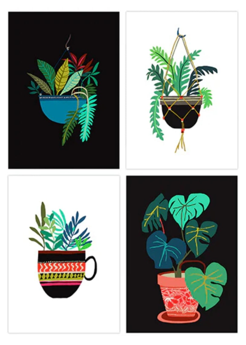 Pot Plant Series Postcards