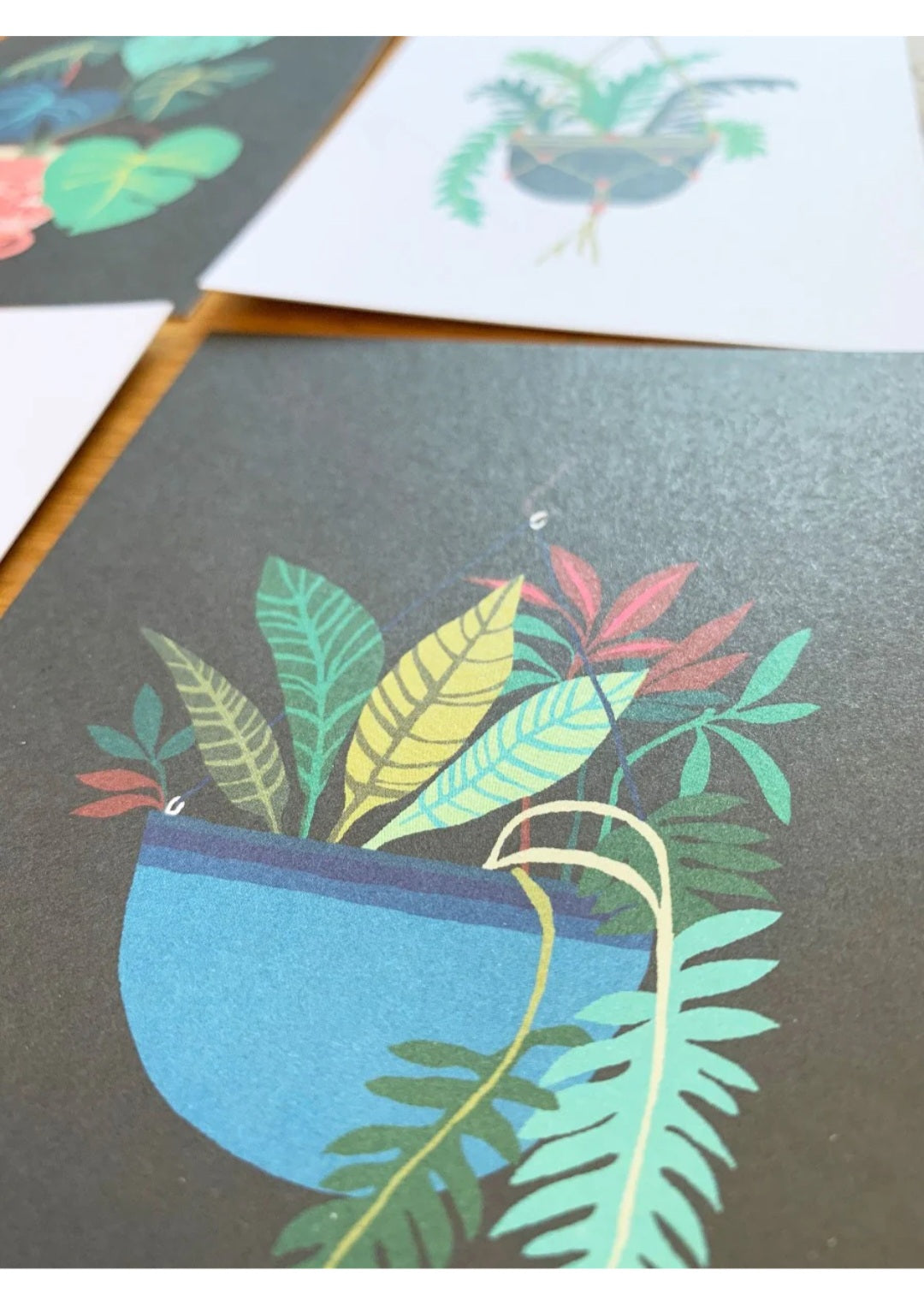 Pot Plant Series Postcards