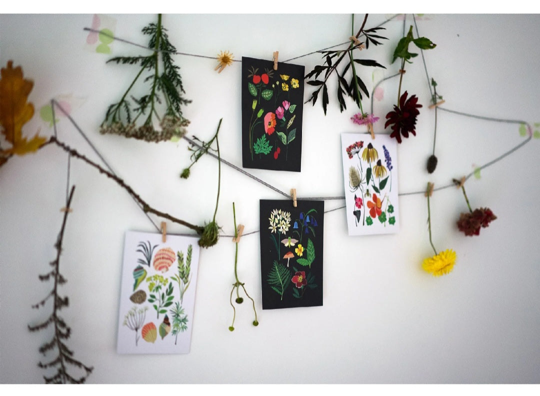 Nature Series Postcards Pack