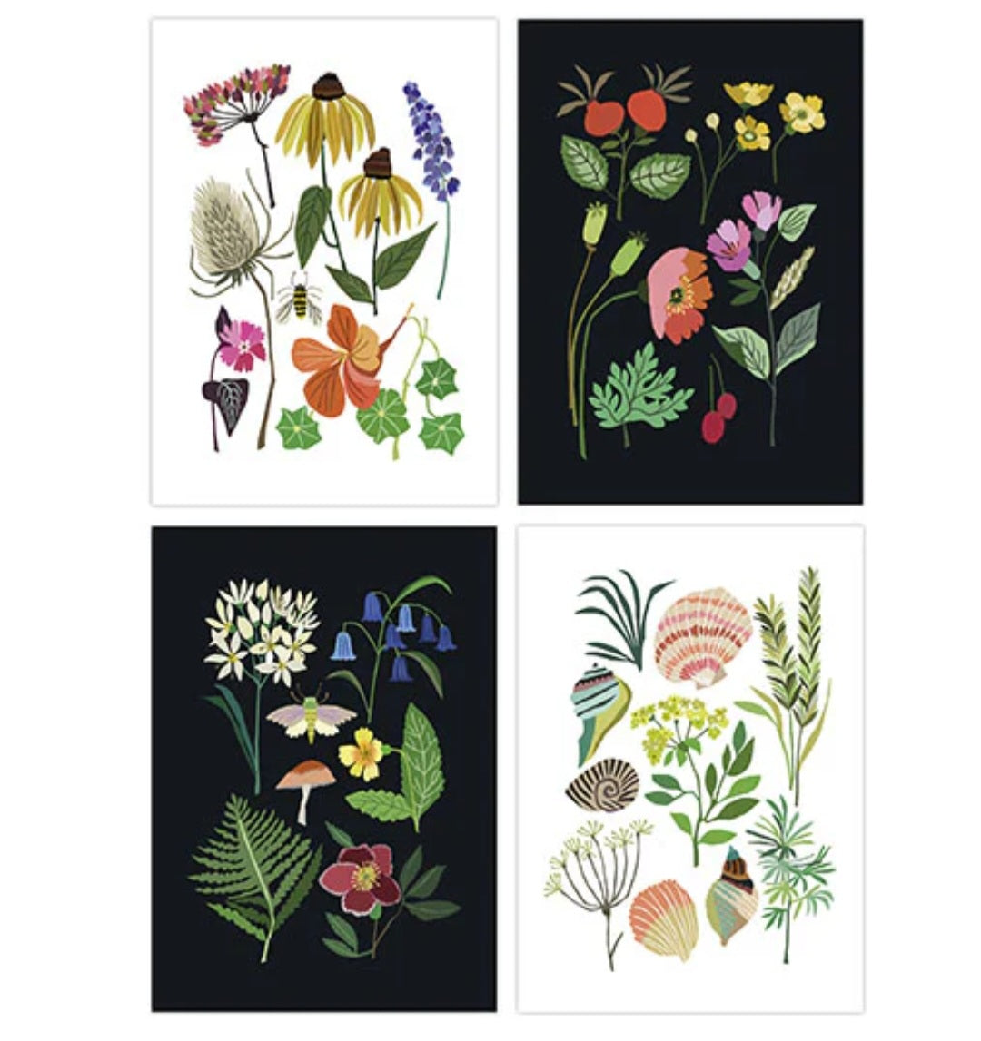 Nature Series Postcards Pack