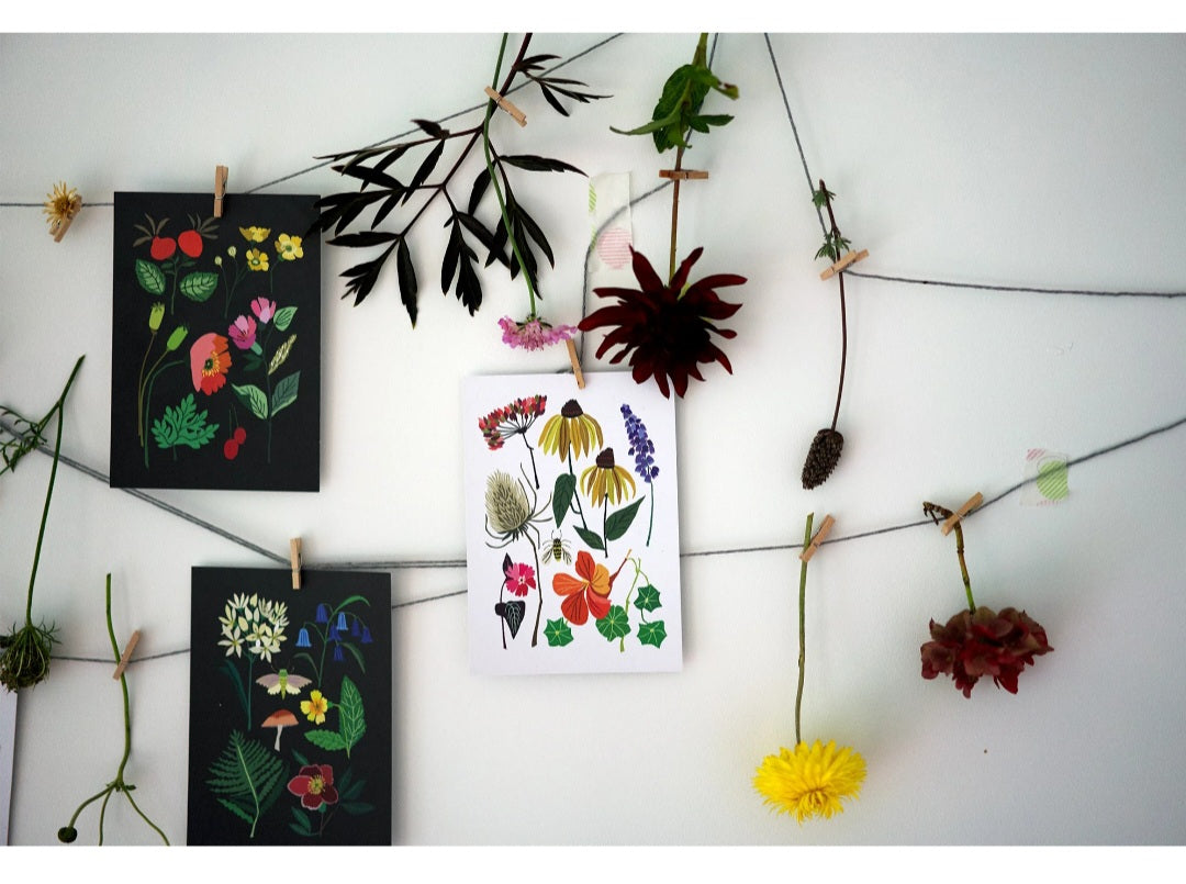 Nature Series Postcards Pack